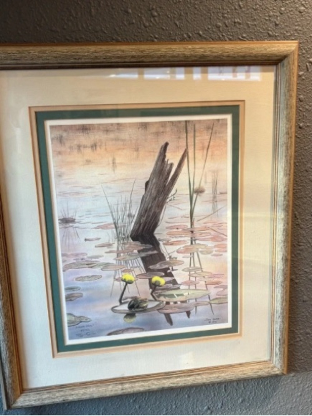 Jon Crane “Adams Frog” Watercolor Numbered and Signed Painting